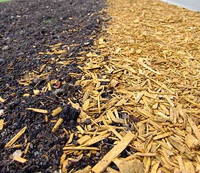 Recycled Woodchip
